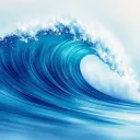 Ocean Vibes