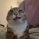♡ 𝒈𝒂𝒃𝒔𝒊𝒕𝒂𝒂𝒂 ♡