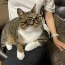 だいちゃんのゲーム部屋