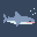 -+-shark pool-+-