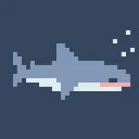 -+-shark pool-+-