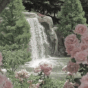 ApricityTM 🌸 | Social • Fun ...