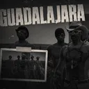 Guadalajara | BLUEBERRY FA