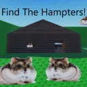 Find the Hampters