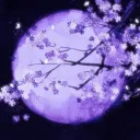 Hikari 光