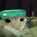 Server Icon