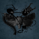 🕷 𝓔 𝓧 𝓞 𝓢 𝓚 𝓔 𝓛 𝓔 𝓣 𝓞 𝓝 🕷