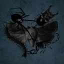 🕷 𝓔 𝓧 𝓞 𝓢 𝓚 𝓔 𝓛 𝓔 𝓣 𝓞 𝓝 🕷