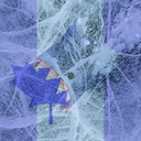 Server Icon