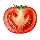 🍅MATER BUSH🍅 Discord server icon