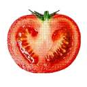 🍅MATER BUSH🍅