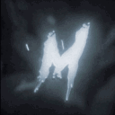 /mojo ࣪  ౨ৎ˚₊ guild