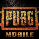 Pubg Pk tournaments discord icon