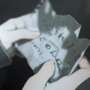 /Realm Y.
