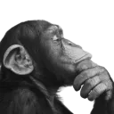 Work in Progress's icon