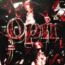 OPn Community 100k?