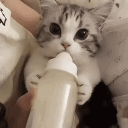 soulsick Discord server icon