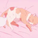 •   Meowers𓈒 ˖ ࣪ 𝜗𝜚
