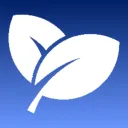 Leafy Shopping (GRAND REOPENING)