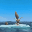 Acorn Ark 20X | 1/2/ 4man  | XW10 | ASE