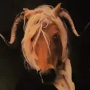 🐐 - 100xAnimus