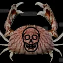 The Bronze Box Crabs (Sail VR)