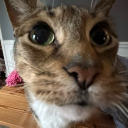 Ragnar's Scratching Post Discord server icon