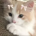 aniya's cute feet