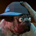 Animal Company Fr Discord Server Icon