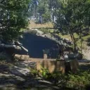 Beaver Hollow