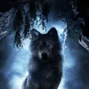 The Den of Fenrir