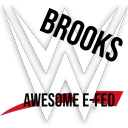 Brooks 2k24 Efed