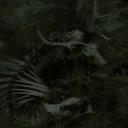 ⸝⸝ 𝑶𝑭 𝑩𝑳𝑶𝑶𝑫 & 𝑩𝑰𝑵𝑫𝑰𝑵𝑮〃