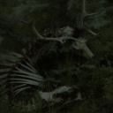 ⸝⸝ 𝑶𝑭 𝑩𝑳𝑶𝑶𝑫 & 𝑩𝑰𝑵𝑫𝑰𝑵𝑮〃