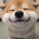 CHIGYU Server