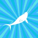 Narwhal Interactive