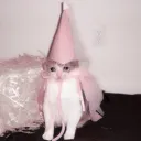 vıttu meoɯ discord icon