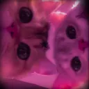 satun sekopäät discord icon