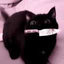 ʚïɞ 𝘴𝘢𝘵𝘶'𝘴 𝘩𝘦𝘢𝘷𝘦𝘯 discord icon