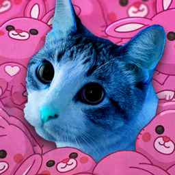 Discovery icon for Nashi’s Rankers 🐣 Discord server