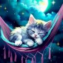Sleepyhead Central Discord Server Icon