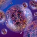The Multiverse