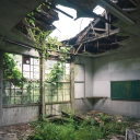 »  , dissociative desolation Discord server icon