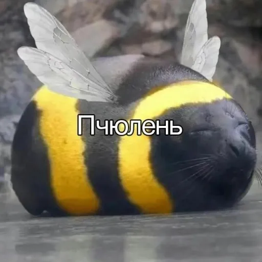 Сервер ArteRia — мониторинг Discord сервера, статистика и рейтинг