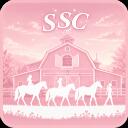 Star Stable Center Discord Server Icon
