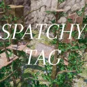 Spatchy Taggers