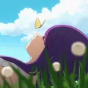 Cozy Canopy