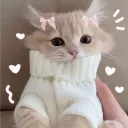Mews