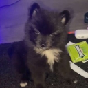 (5m per inv) luhzas Shop