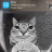 Bruhs community Discord server icon